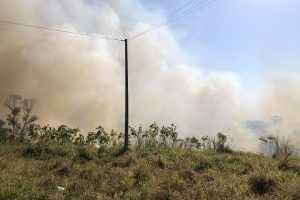 Incêndio mobiliza equipes próximo ao Ginásio de Esportes em Jandaia do Sul
