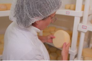 negocios-da-terra-queijos-trigo-sustentabilidade