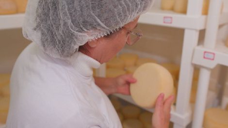 negocios-da-terra-queijos-trigo-sustentabilidade