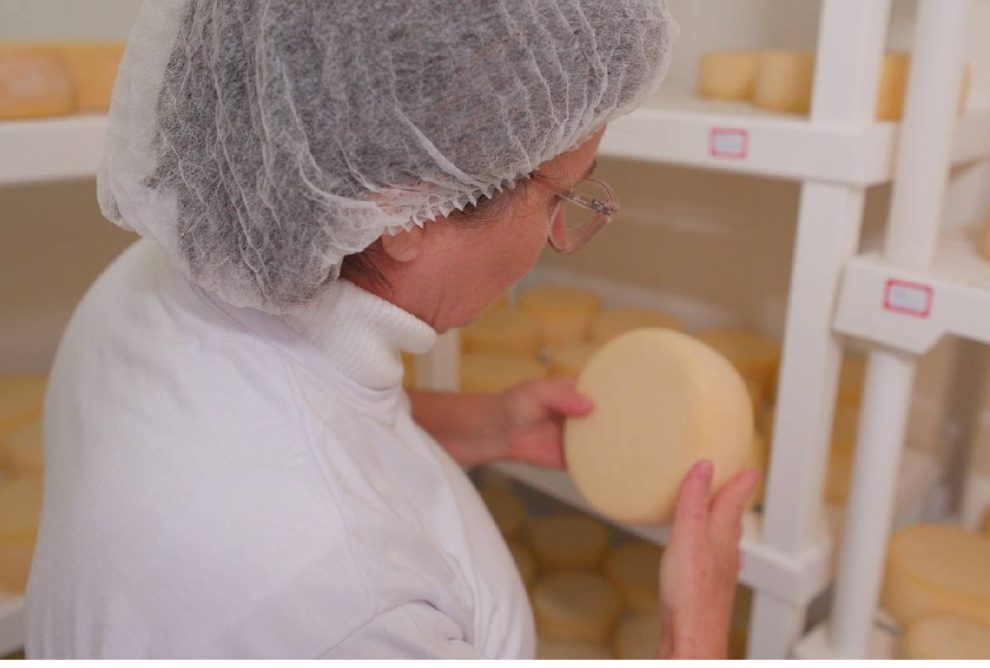 negocios-da-terra-queijos-trigo-sustentabilidade