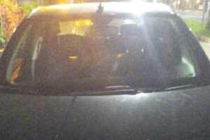 Motorista de 59 anos é presa por embriaguez ao volante na região