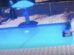 Adolescente é apreendida após afogamento de menina de 11 anos em piscina; relembre o caso