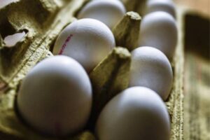 produção de ovos