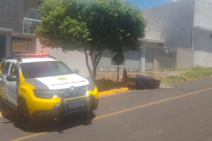 Homem é encontrado morto dentro de sofá abandonado na região; vídeo