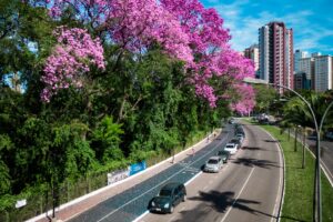 pista do Parque do Ingá