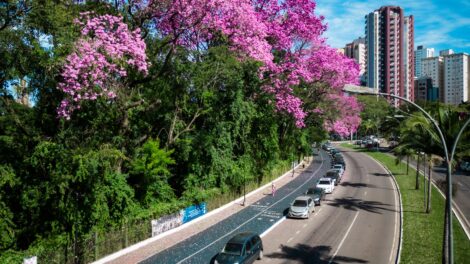 pista do Parque do Ingá