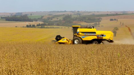 Safra 2026 ganha volume e Paraná pode colher 25,9 milhões de toneladas