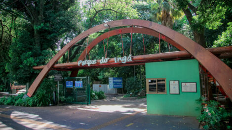 Tirolesa, mirante para o lago e 'espaço zen': o que está previsto no edital da futura concessão do Parque do Ingá