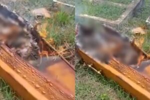 tiros interrompem cerimônia e criminosos incendeiam caixão; veja o vídeo