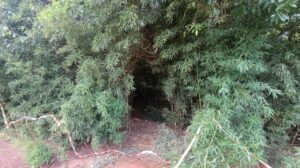 Corpo de criança é encontrado a cerca de 3 km da casa onde estava em São Manoel do Paraná; veja a sequência dos fatos