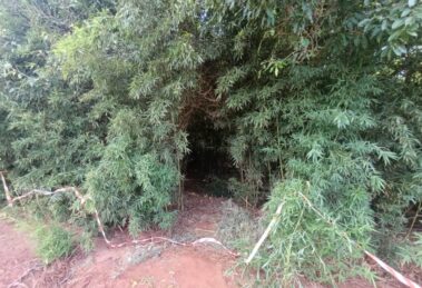 Corpo de criança é encontrado a cerca de 3 km da casa onde estava em São Manoel do Paraná; veja a sequência dos fatos