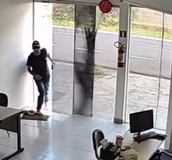 Criminosos arrombam loja em Maringá e levam ferramentas e dinheiro; câmeras registram ação