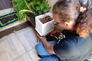 Em 1 ano, Maringá tem redução de 80% em casos confirmados de dengue