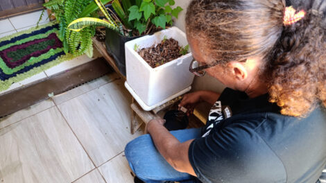 Em 1 ano, Maringá tem redução de 80% em casos confirmados de dengue