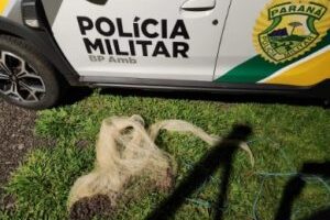 GRANDES RIOS – Polícia Ambiental apreende tarrafa durante operação de Carnaval no Rio Ivaí