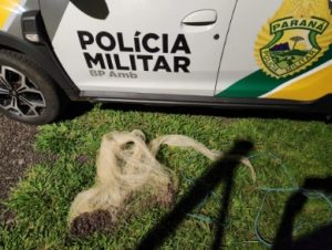 GRANDES RIOS – Polícia Ambiental apreende tarrafa durante operação de Carnaval no Rio Ivaí