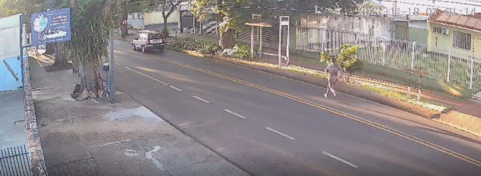 Homem é preso após capotamento de carro furtado e tentativa de invasão a residência em Maringá; vídeo