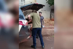 Mãe e padrasto chutam e mordem bebê de 1 ano: “Não parava de chorar”