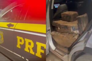 PRF apreende mais de meia tonelada de maconha em Floresta