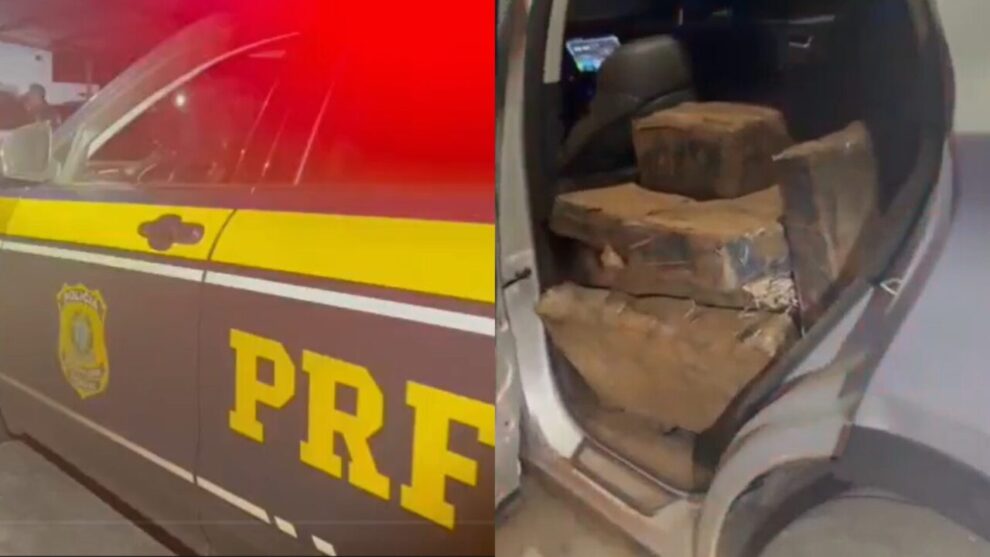 PRF apreende mais de meia tonelada de maconha em Floresta