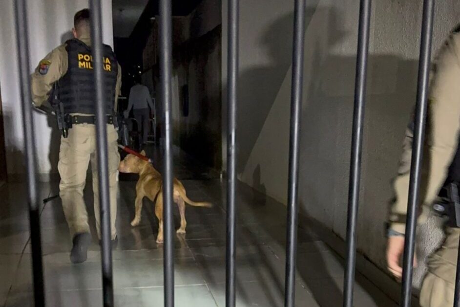 Pitbull ataca tutora e impede entrada dela em residência