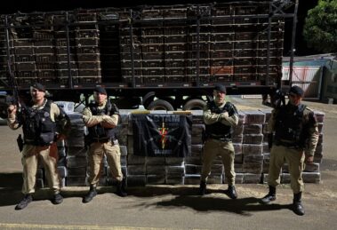 Polícia Militar apreende mais de duas toneladas de maconha em carga de frangos