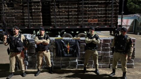 Polícia Militar apreende mais de duas toneladas de maconha em carga de frangos