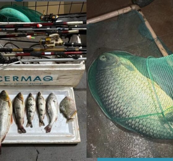 Polícia Militar prende dois homens por pesca irregular em pesqueiro