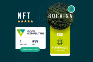 Projeto de NFTs ambientais do Sicoob Metropolitano é reconhecido internacionalmente após COP30