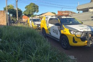 Avó que baleou a própria neta de 9 anos em Sarandi vai responder em liberdade