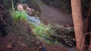 Corpo de homem é encontrado em córrego durante buscas por adolescente desaparecido em Sarandi