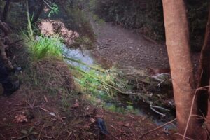 Corpo de homem é encontrado em córrego durante buscas por adolescente desaparecido em Sarandi