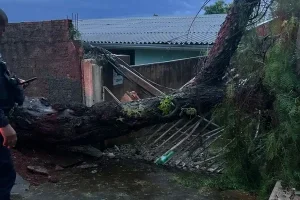Defesa Civil atende ocorrências após temporal em Apucarana