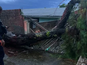 Defesa Civil atende ocorrências após temporal em Apucarana
