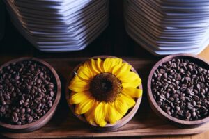 Fim de semana recheado na Cidade Canção; confira a Agenda Cultural: