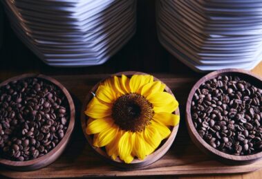 Fim de semana recheado na Cidade Canção; confira a Agenda Cultural: