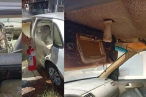 Médico denunciado por perseguição contra ex e com 35 boletins de ocorrência é considerado foragido da Justiça em Maringá