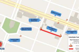 Trecho da Avenida São Paulo, entre a Mauá e Horácio Raccanello, é interditado para retirada de árvore 