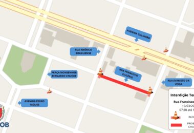 Trecho da Avenida São Paulo, entre a Mauá e Horácio Raccanello, é interditado para retirada de árvore 