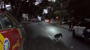 Adolescente de 16 anos é esfaqueado após briga na saída de escola em Maringá