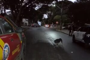 Adolescente de 16 anos é esfaqueado após briga na saída de escola em Maringá