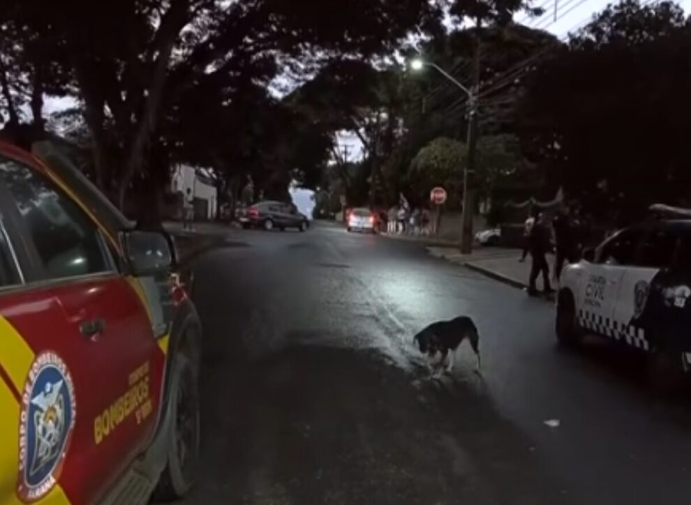 Adolescente de 16 anos é esfaqueado após briga na saída de escola em Maringá