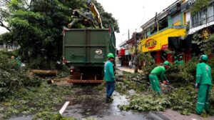 Após suspensão, Prefeitura de Maringá reabre edital de R$ 80 milhões para podas e remoções de árvores