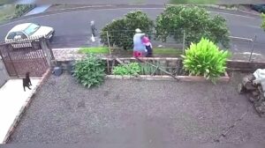 Câmera registra últimos momentos de adolescente vítima de feminicídio no PR