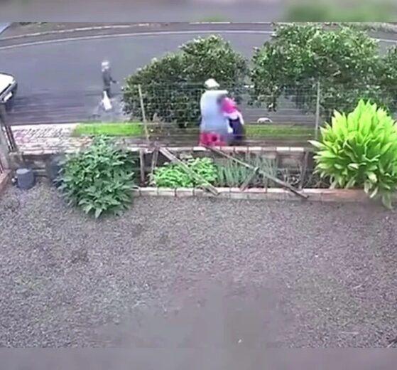 Câmera registra últimos momentos de adolescente vítima de feminicídio no PR