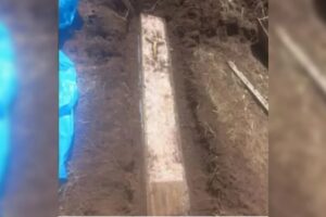 Morador encontra caixão com ossada humana enterrado em quintal de casa alugada em SC