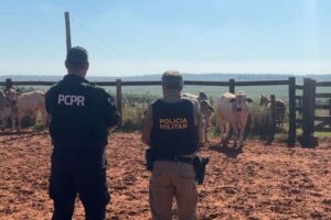 PCPR e PMPR recuperam seis bovinos furtados em propriedade