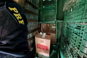 Polícia apreende 350 mil maços de cigarros do Paraguai escondidos em caminhão na região de Maringá