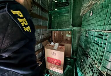 Polícia apreende 350 mil maços de cigarros do Paraguai escondidos em caminhão na região de Maringá