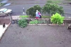 Saiba quem era a adolescente vítima de feminicídio morta a facadas no Paraná